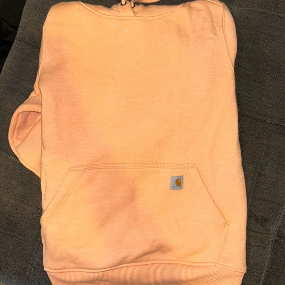 Carhart Women’s Relaxed Fit Hoodie - Picture 1 of 4